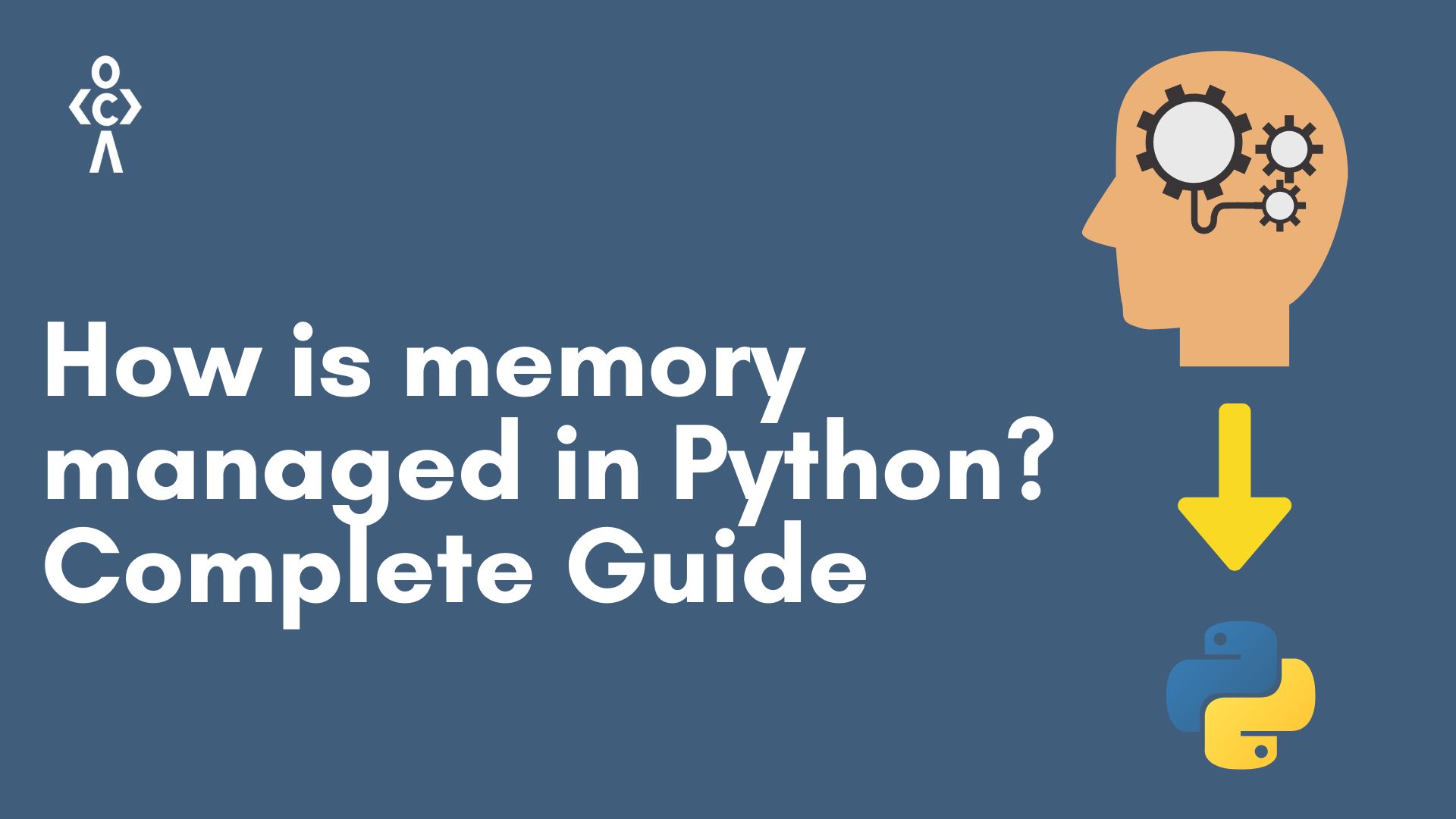 How is memory managed in Python? Complete Guide