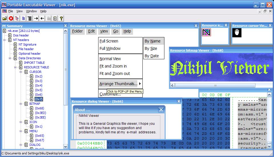 CodeDebug 32bit/64bit PE Resource viewer