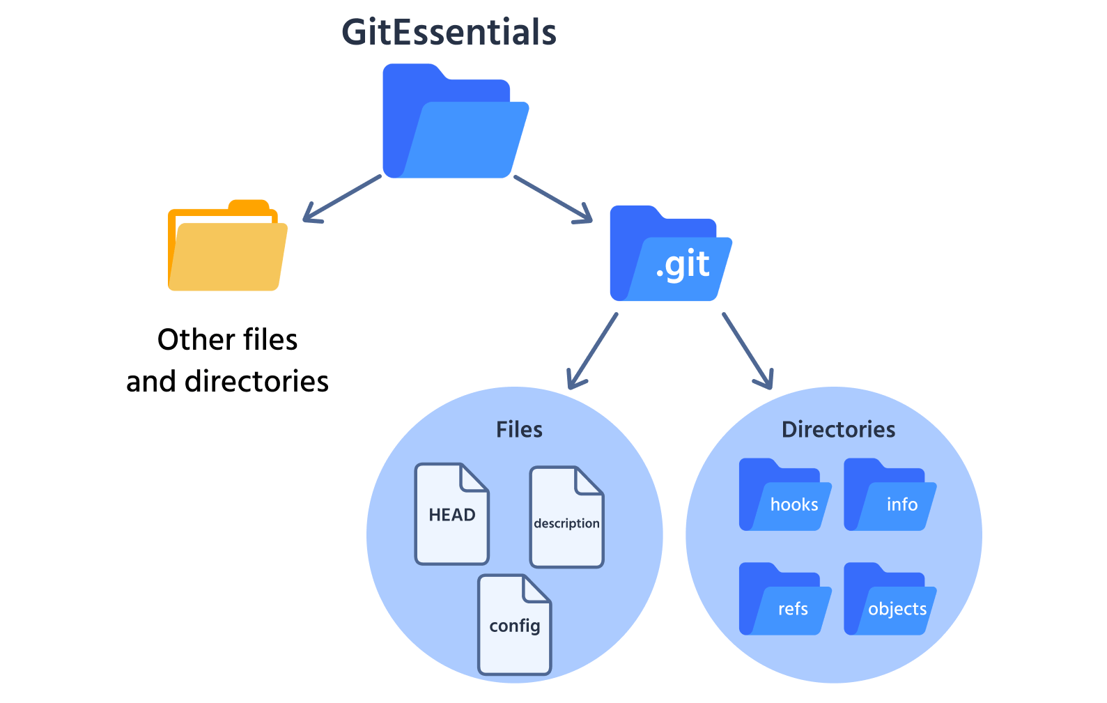 Git Directory and Working Tree