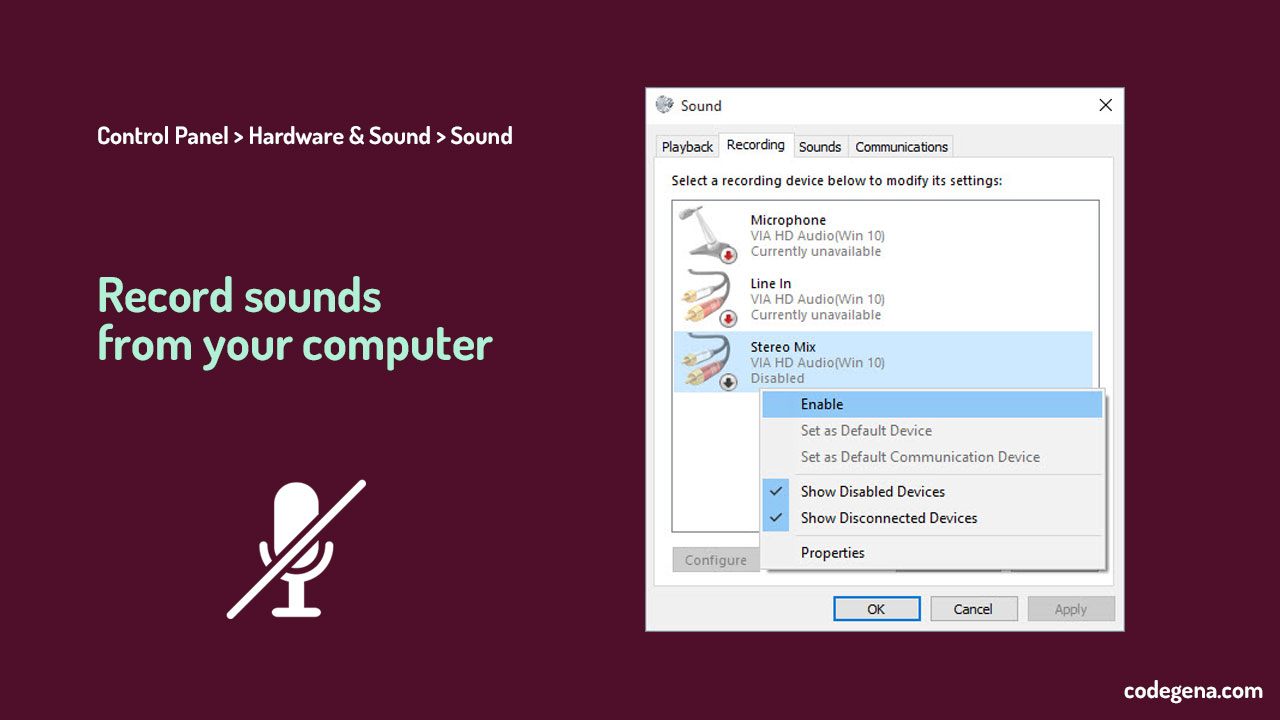 How to Record Sound from Computer directly without a Microphone? Codegena