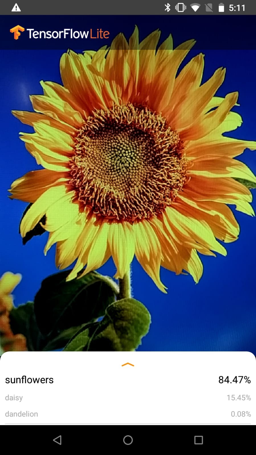 Recognize Flowers with TensorFlow Lite on Android