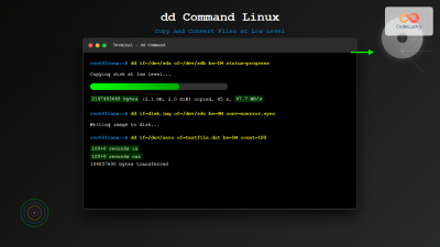 mv Command in Linux: Complete Guide to Moving and Renaming Files