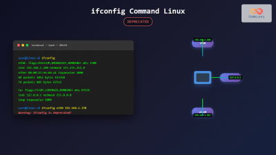 dhclient Command Linux: Complete Guide to Dynamic Host Configuration