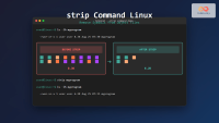 unset Command Linux: Complete Guide to Remove Variables and Functions