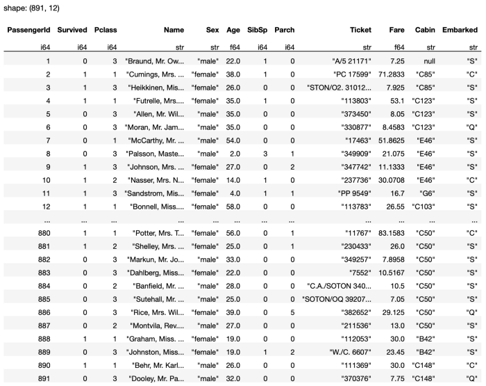 Using the Polars DataFrame Library