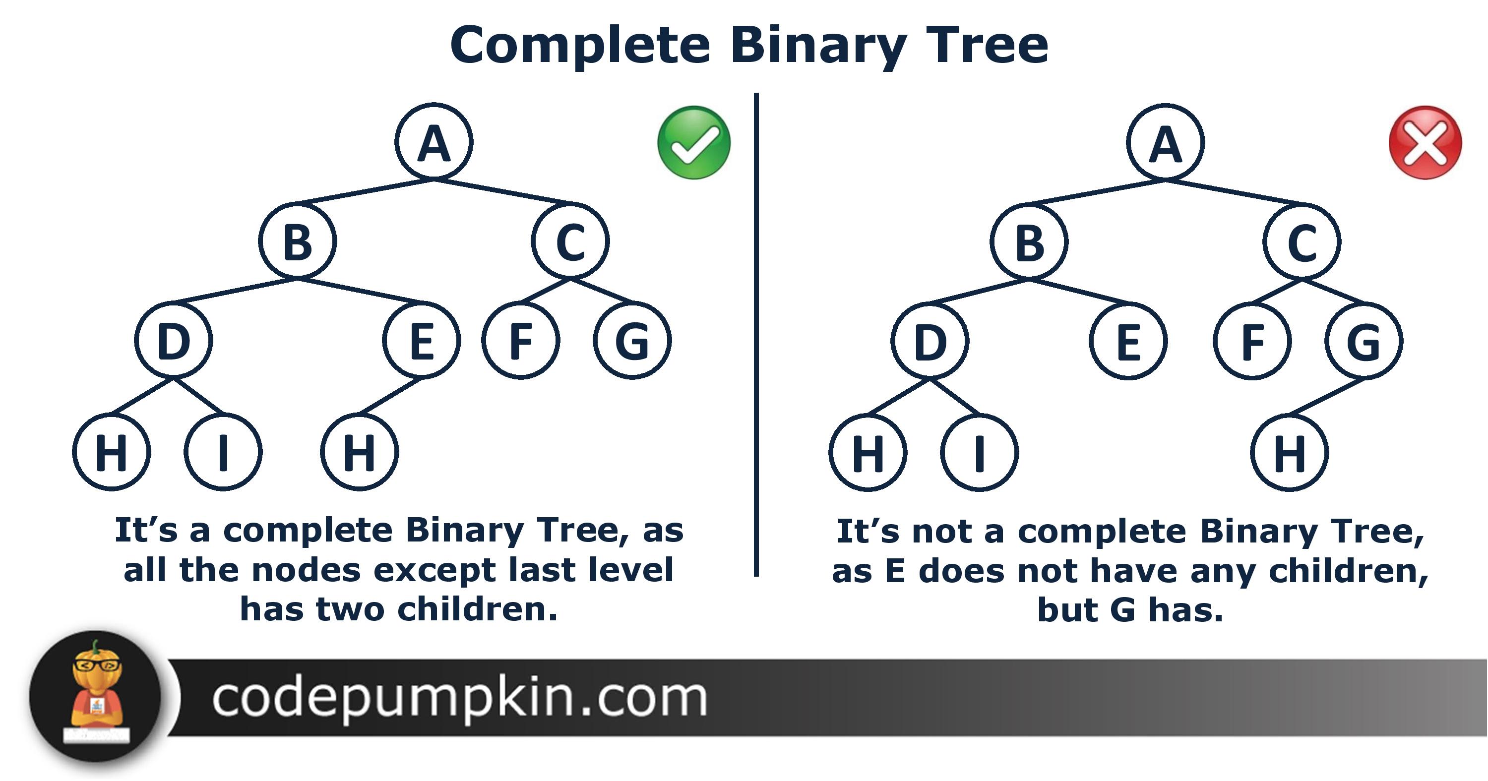 Types of Binary Tree Binary Tree Introduction Code Pumpkin