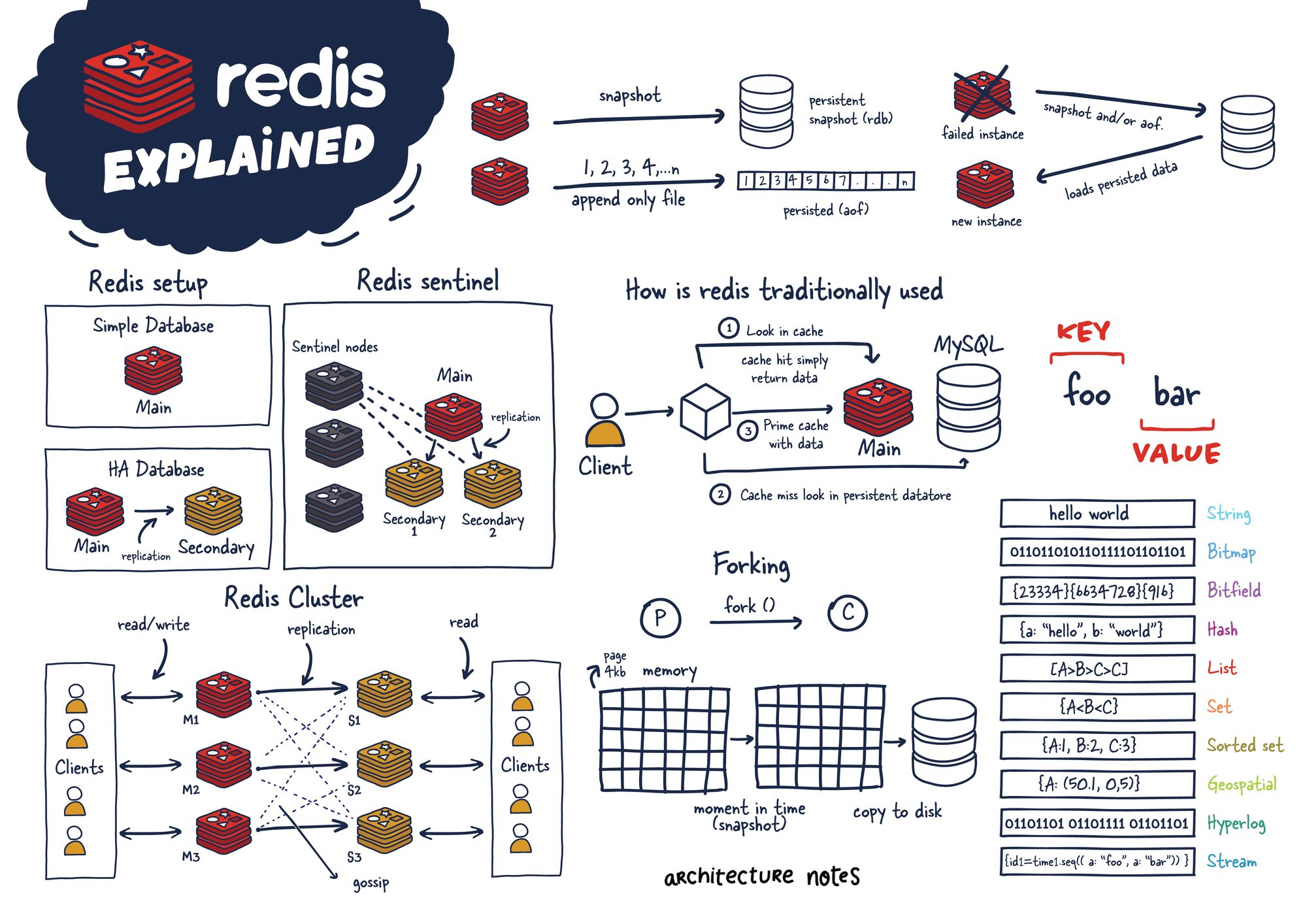 Redis Explained codercoder