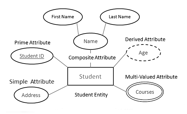 Creating ER Diagram - coderz.py