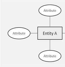Creating ER Diagram - coderz.py