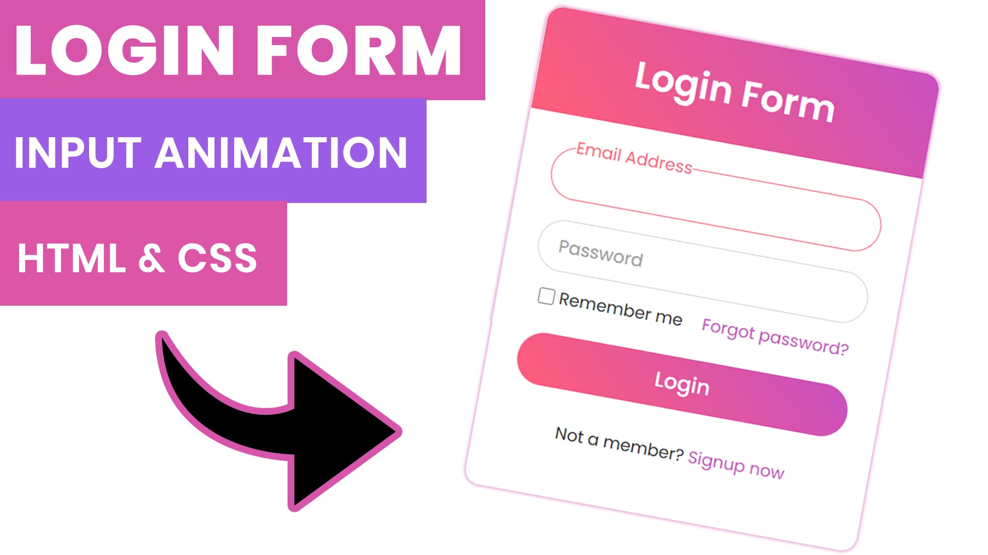 Login Form With Floating Label Animation In pure CSS Code4Education
