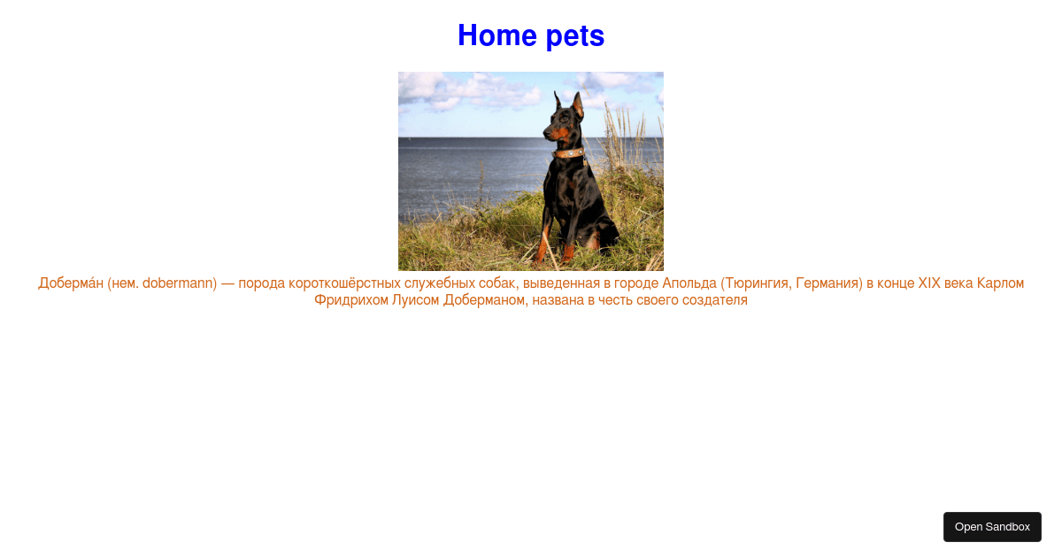 home pets Codesandbox