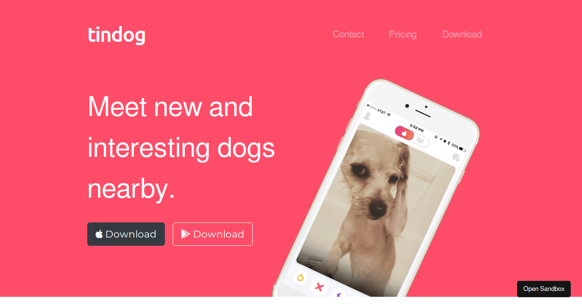 TinDog site Codesandbox