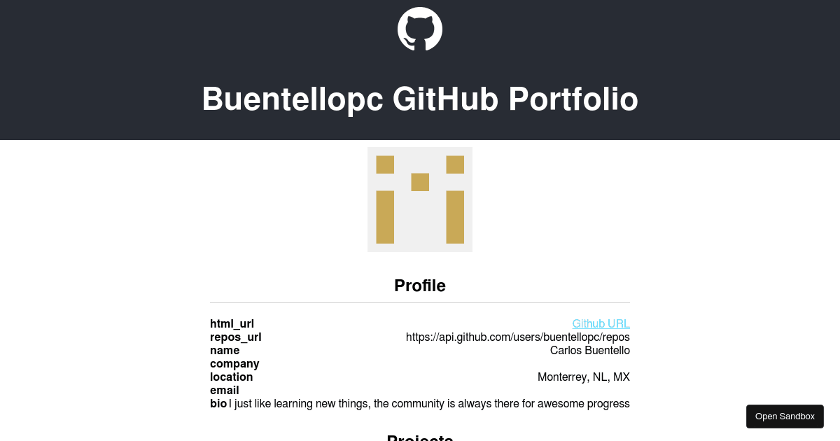 githubportfolio Codesandbox