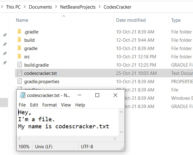 Java Program to Read a File and Display its Contents