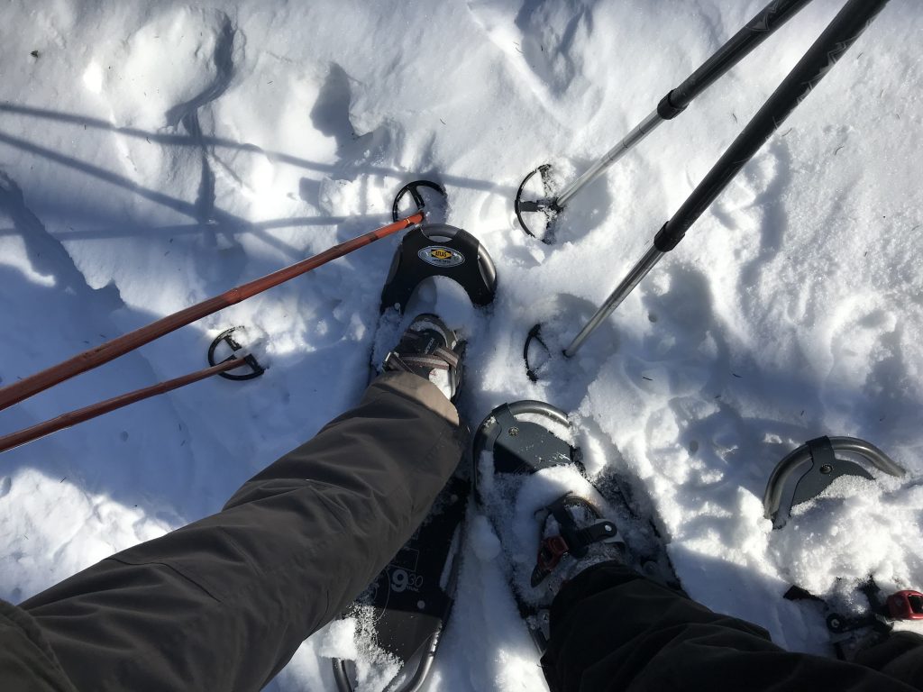 Services Codette Lake