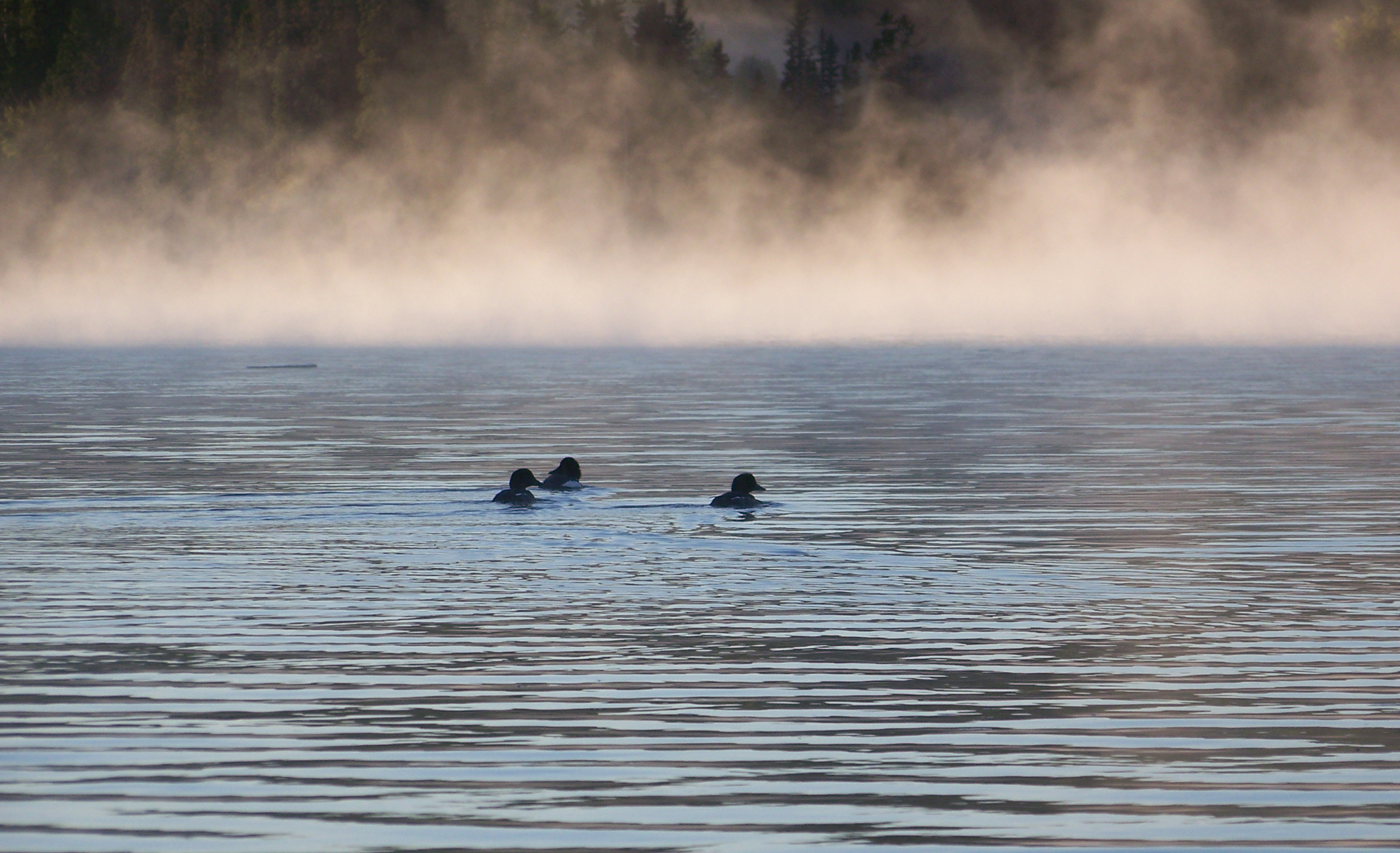 Pictures Codette Lake