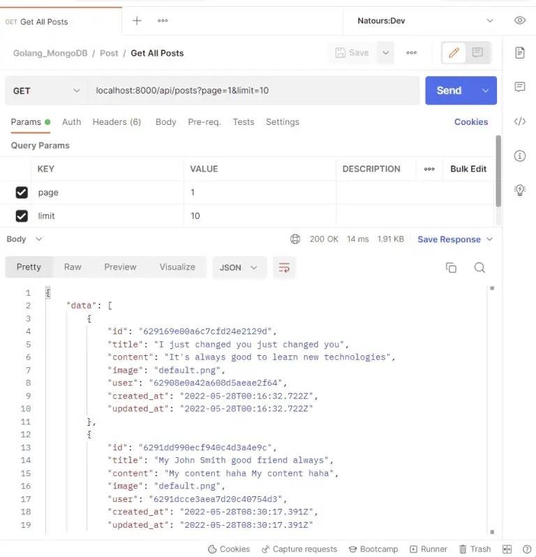 Build CRUD RESTful API Server with Golang, Gin, and MongoDB 2024