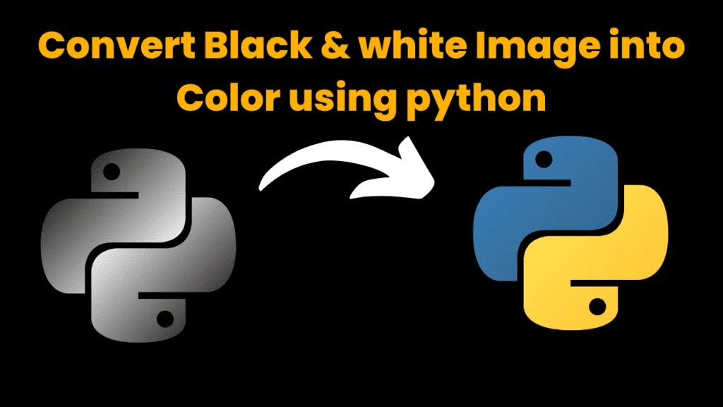 Black and White to Colour Images using Python CodeWithCurious