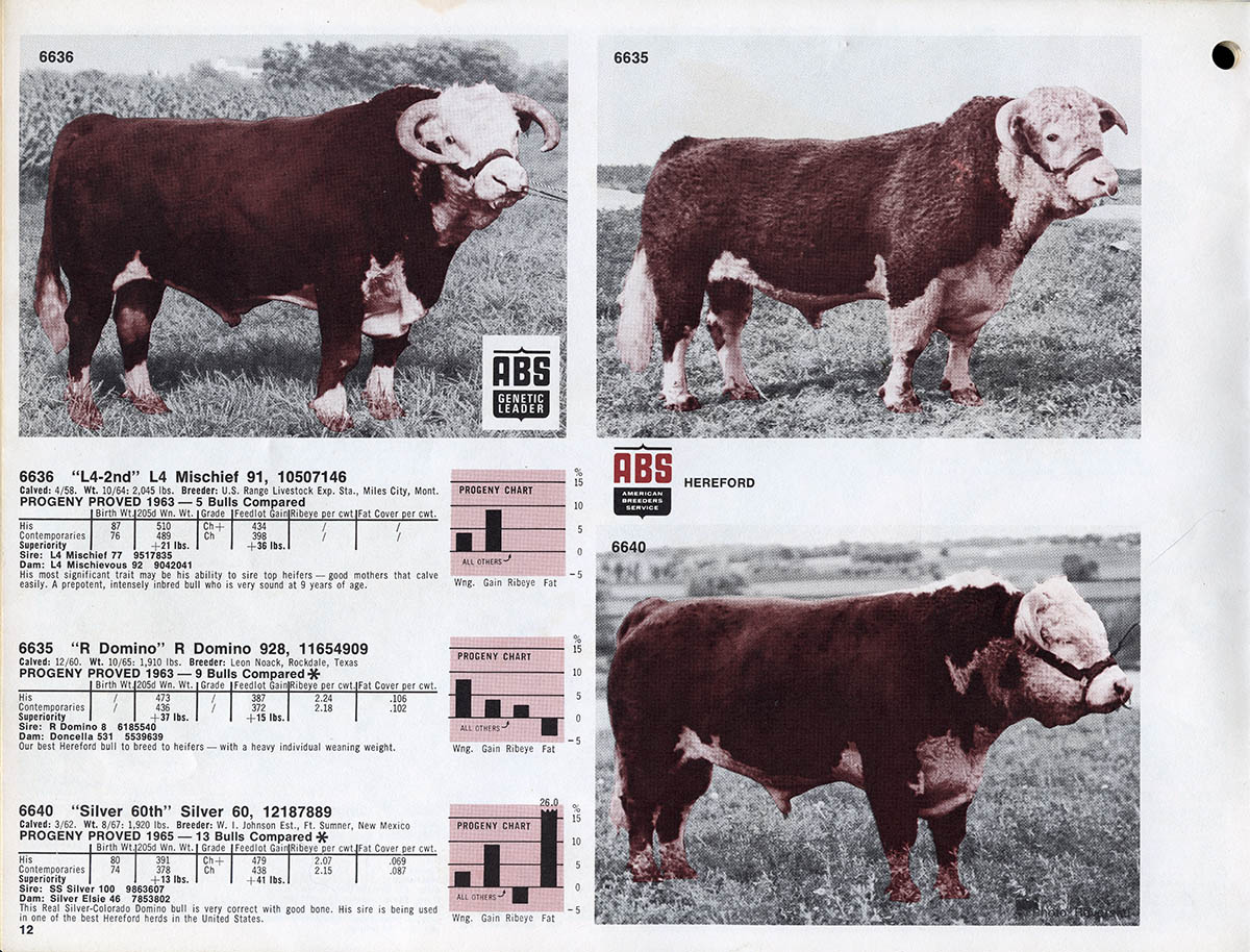 Holstein Dairy Bull Search ABS Global
