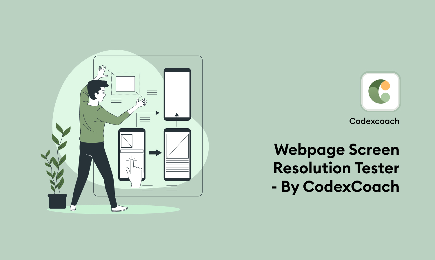 Webpage Screen Resolution Tester CodexCoach