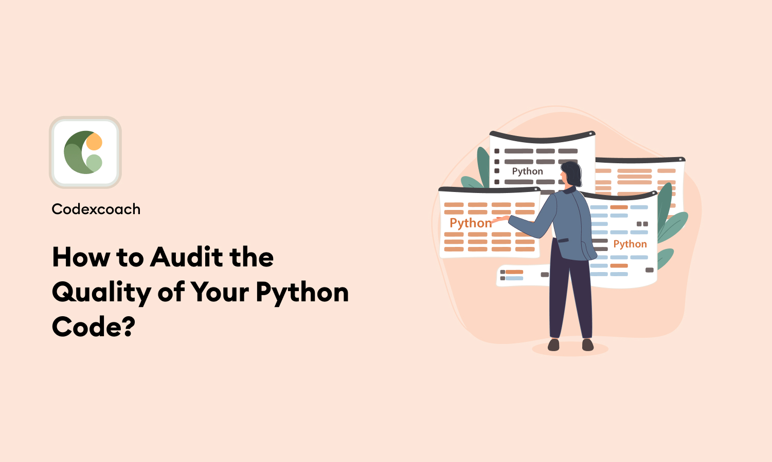 How To Audit The Quality Of Your Python Code?