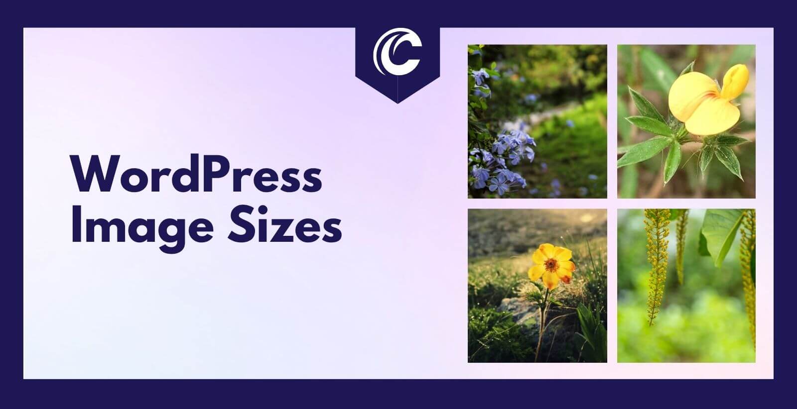 WordPress Image Sizes How to Remove Unused Image Sizes?