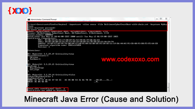 Minecraft Java Error (Cause and Solution) Code XOXO