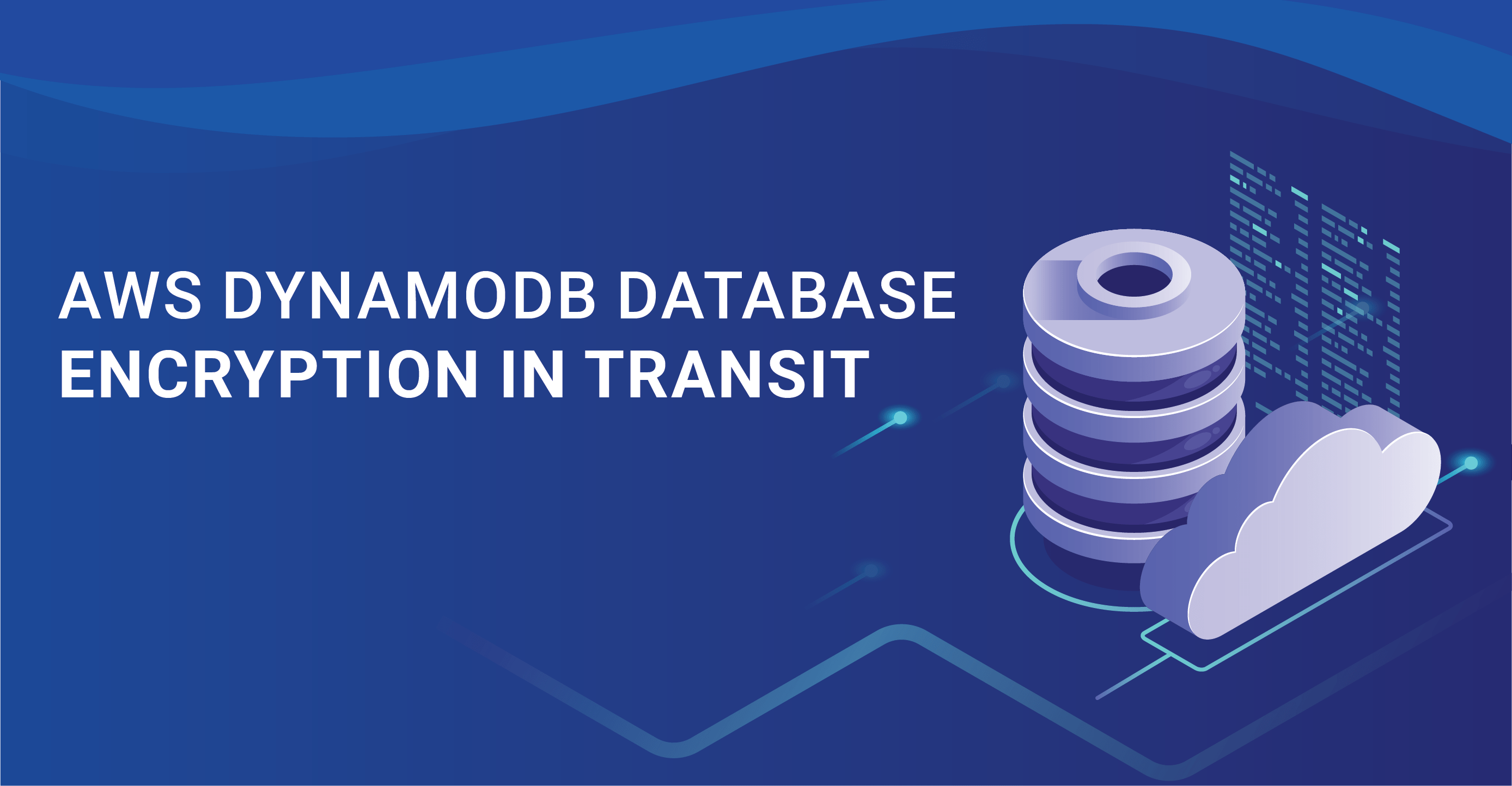 AWS DynamoDB Database Encryption In Transit A Quick Guide