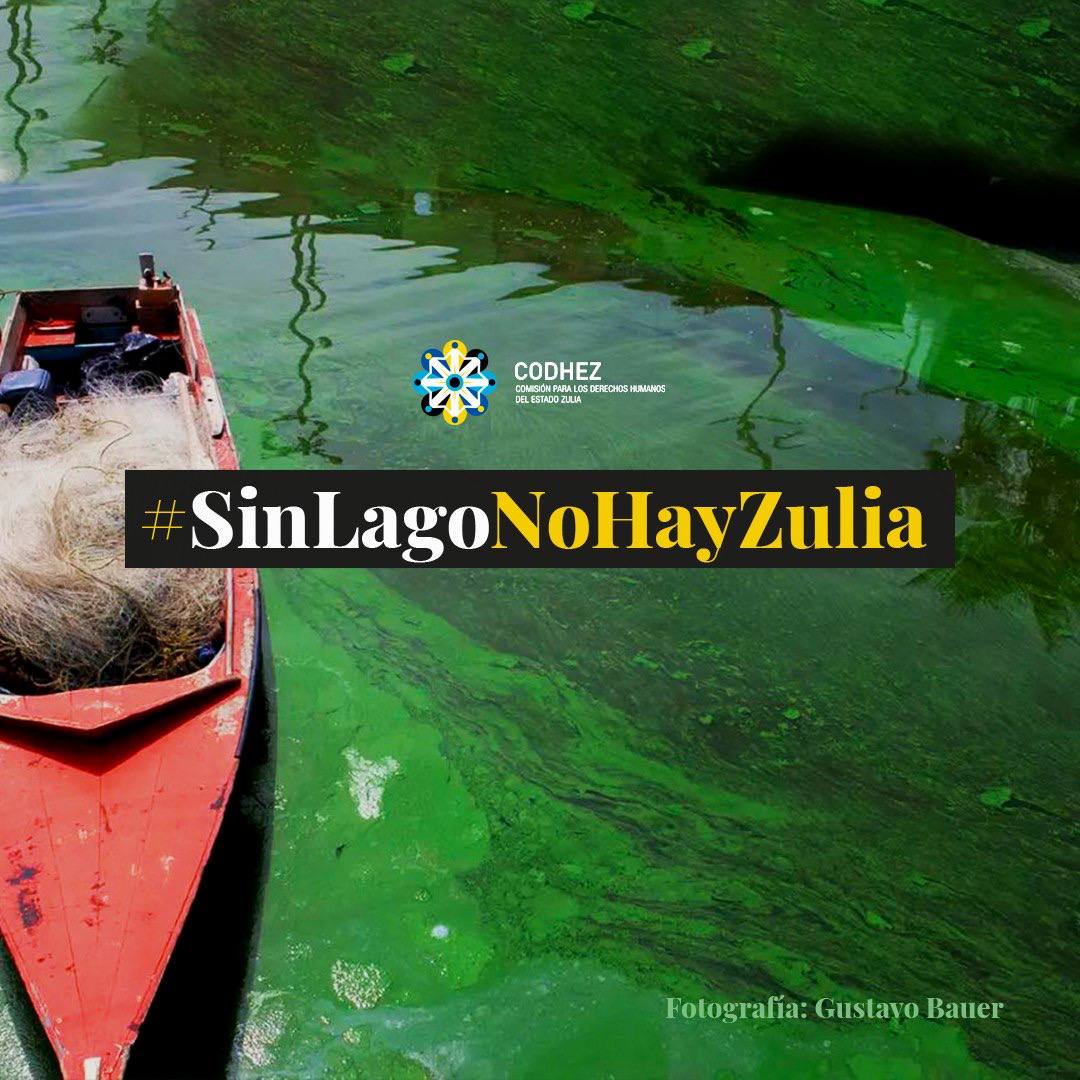 El Lago de Maracaibo necesita acciones urgentes contra la contaminación