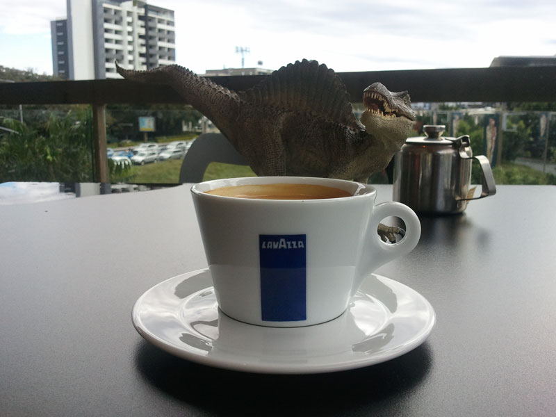 The Queensland Museum has a Cafe Codhunter