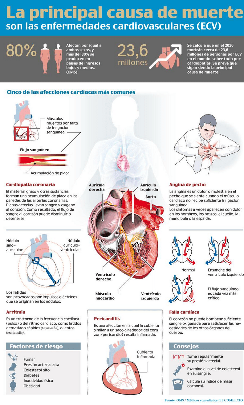 La British Heart Foundation al CNIC una beca de 33.4 millones de