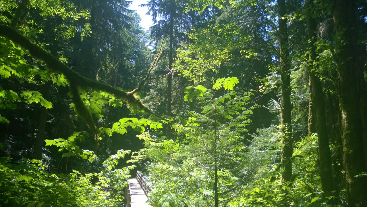 Salmonberry Reproduction Salmonberry Genomics