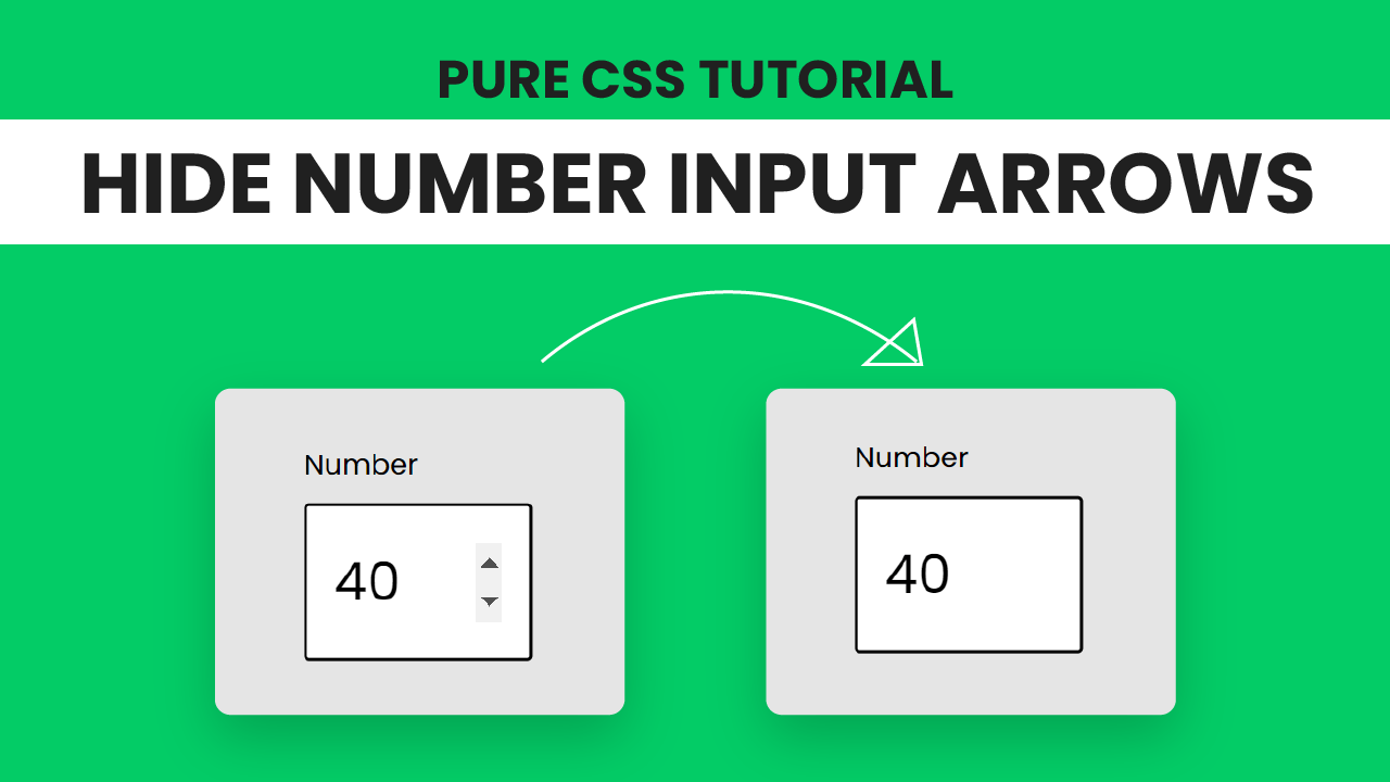 Hide Arrows From Input Number CSS Coding Artist