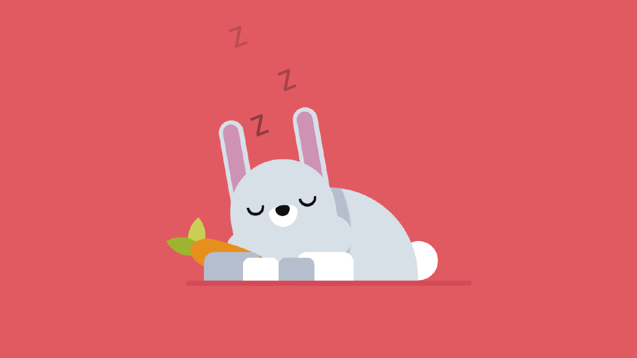 CSS Rabbit Animation Coding Artist