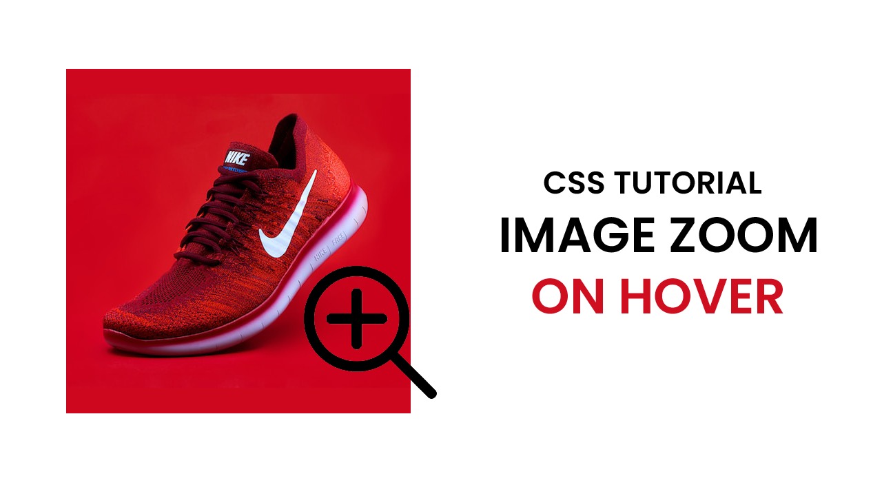 Image Zoom on Hover Coding Artist