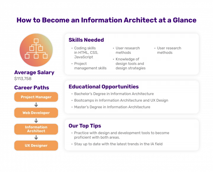 Information Architect Coding Bootcamps