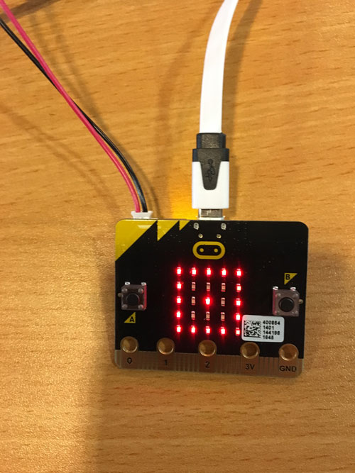 microbitleds Codingbug