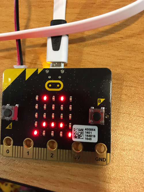 microbit Codingbug