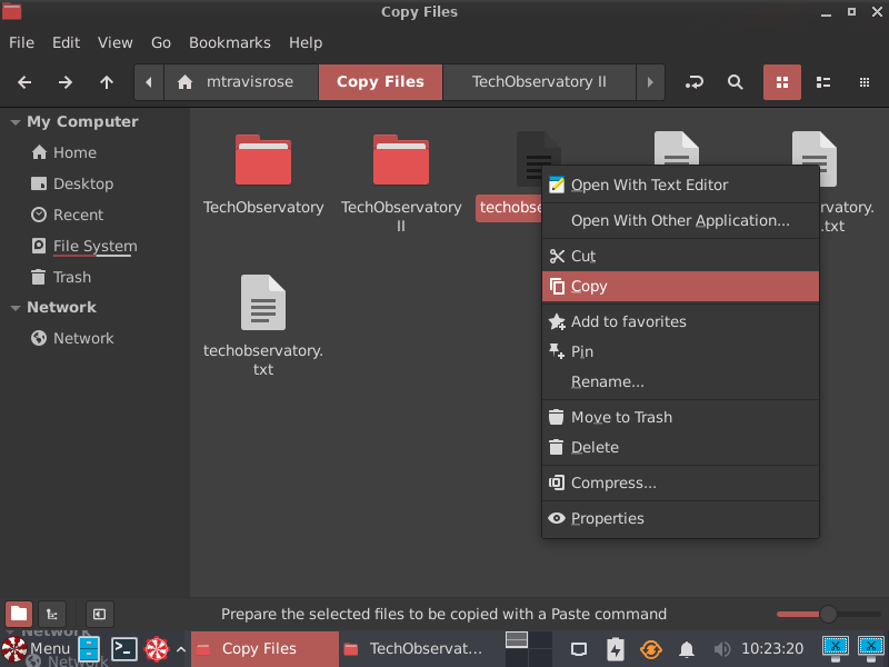 How to Copy a File or Directory in Linux Coding Campus