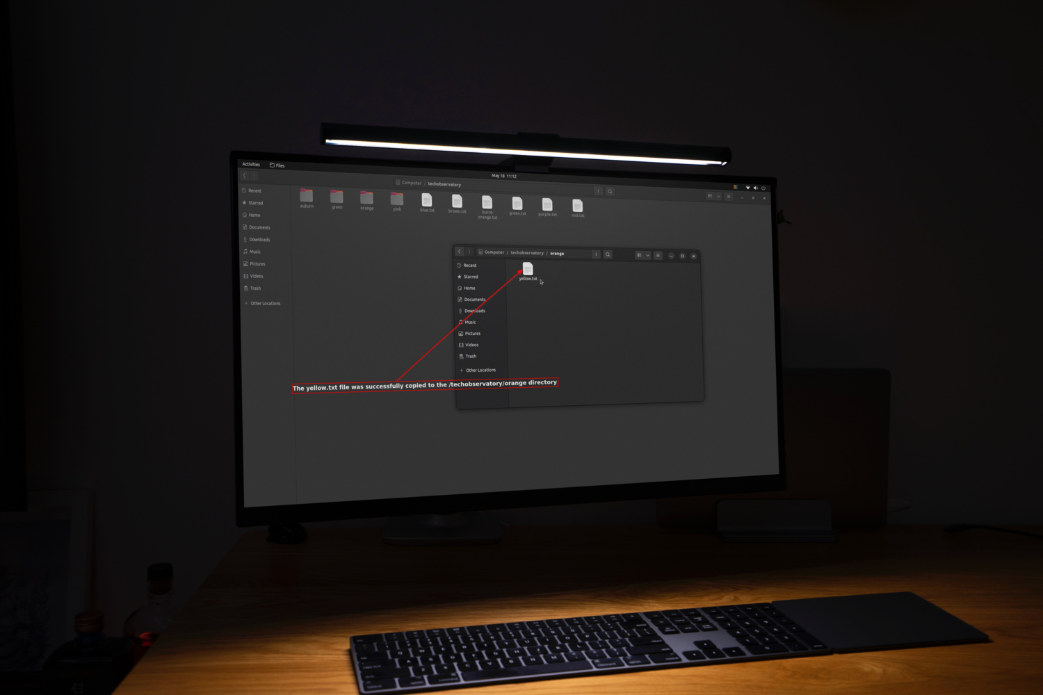 How to Move Files and Directories in Linux Coding Campus