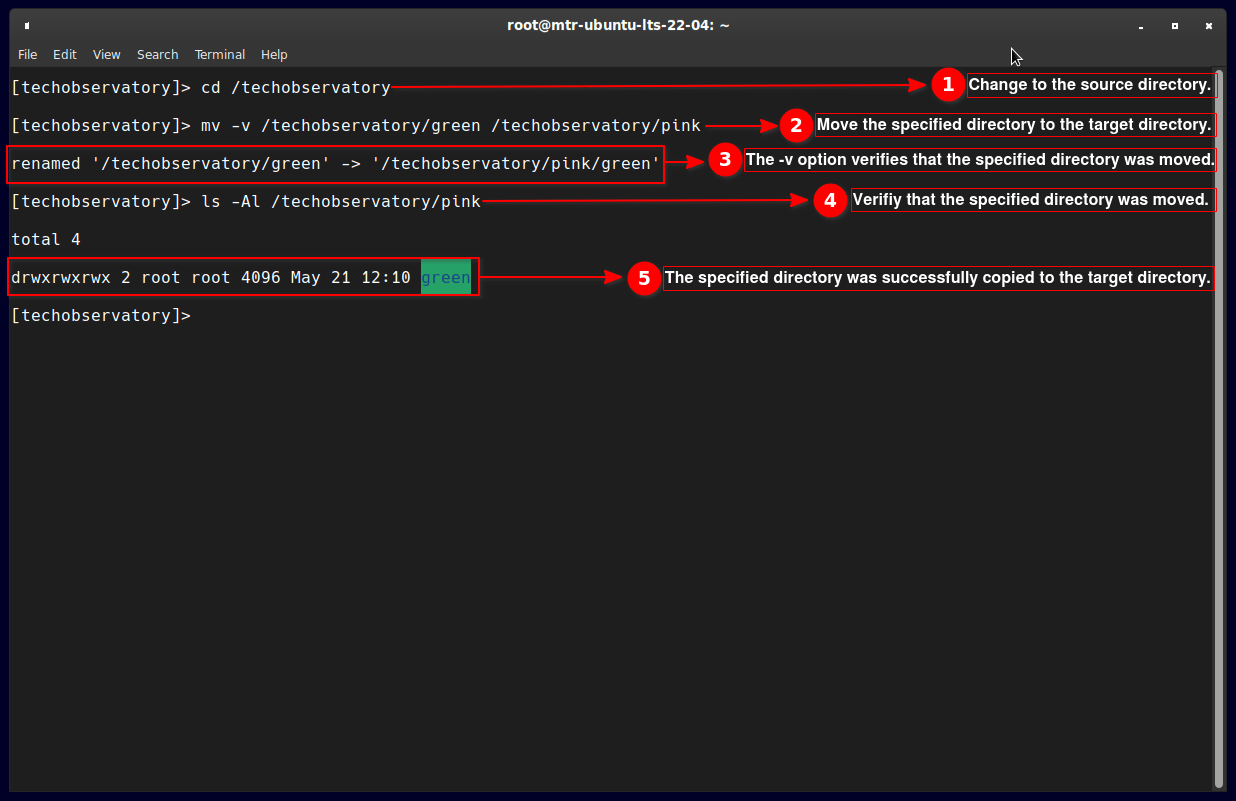 How to Move Files and Directories in Linux Coding Campus