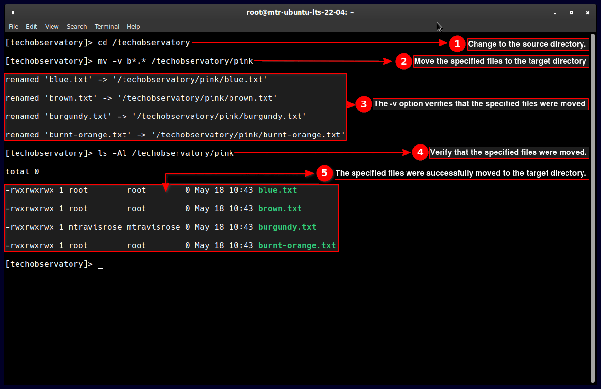 How to Move Files and Directories in Linux Coding Campus