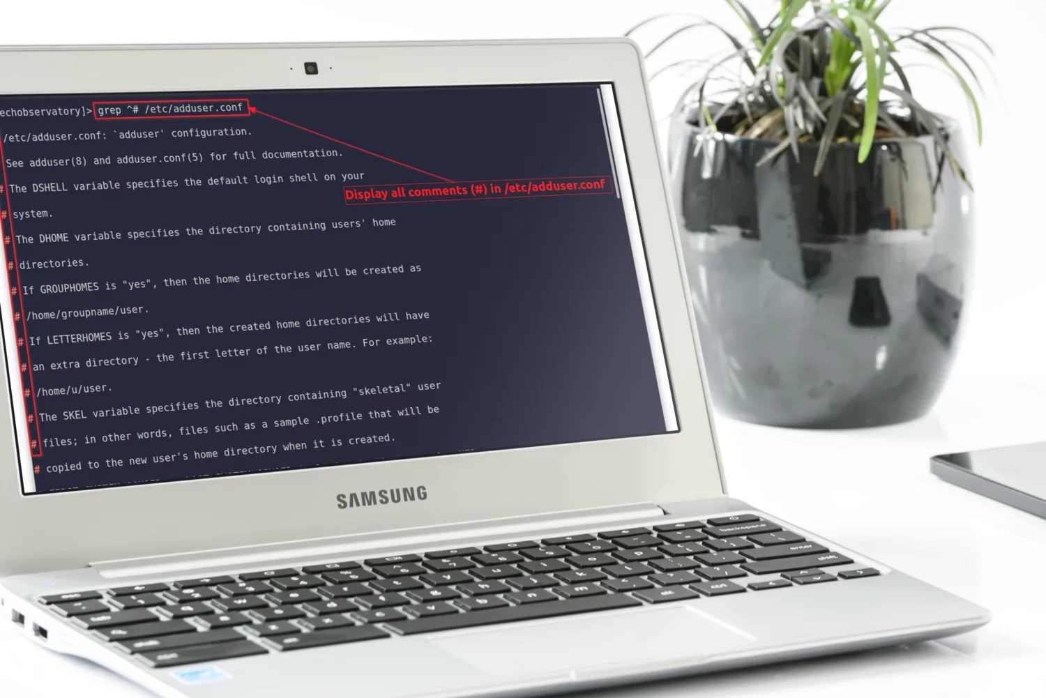 Regular Expressions in grep (Regex) (With Examples) Coding Campus
