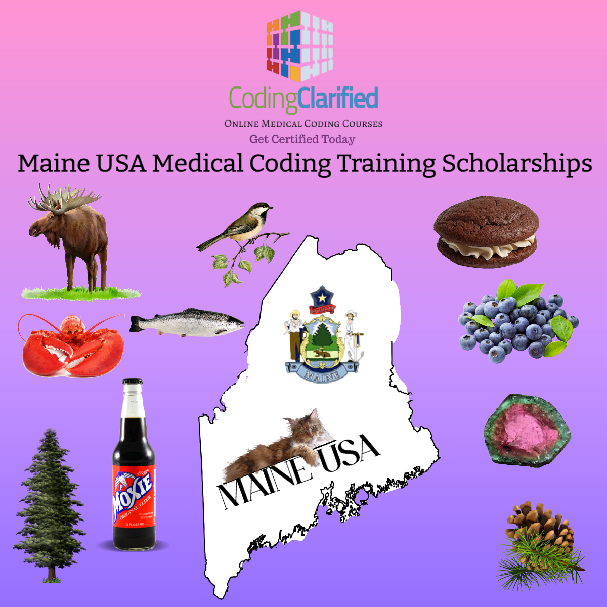 Medical Coding Scholarships Now Available in Maine Apply Today!