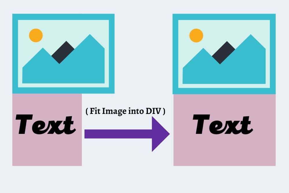 How To Fit An Image Into A Container In CSS? Coding Crunch