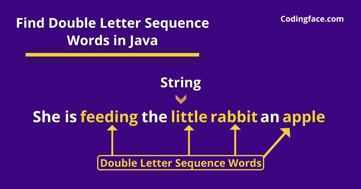 Find Double Letter Sequence Words In Java DNT