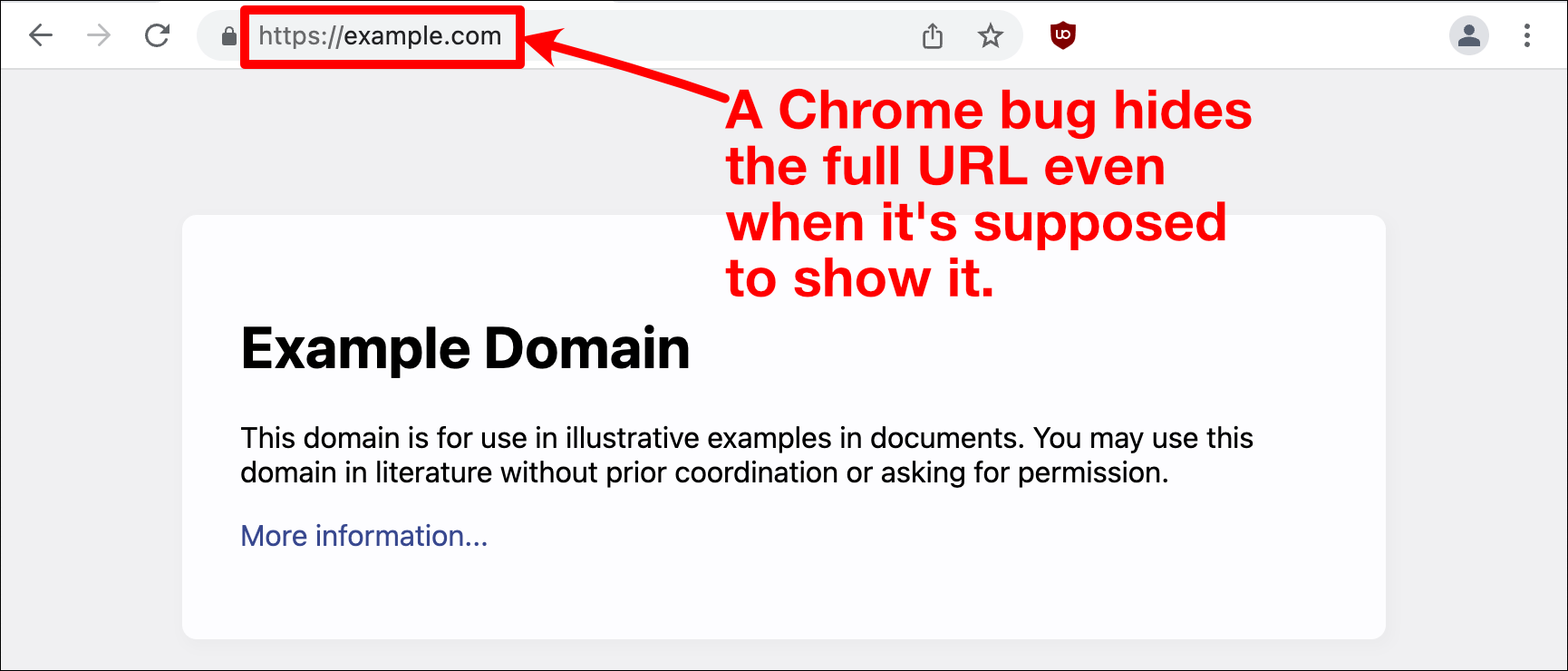How to View Full URLs in the Browser Coding for SEO
