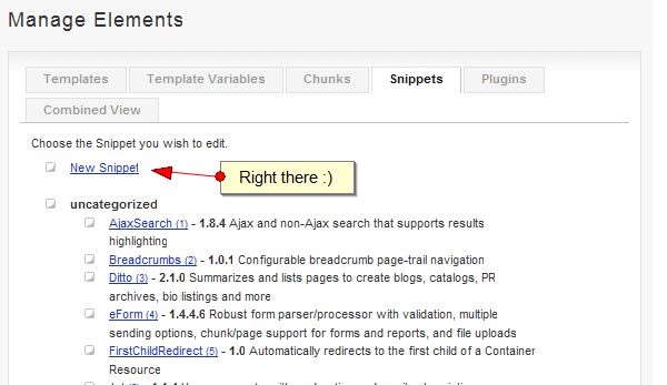 MODx Evolution Creating a Simple Custom Snippet Part 2 Create the