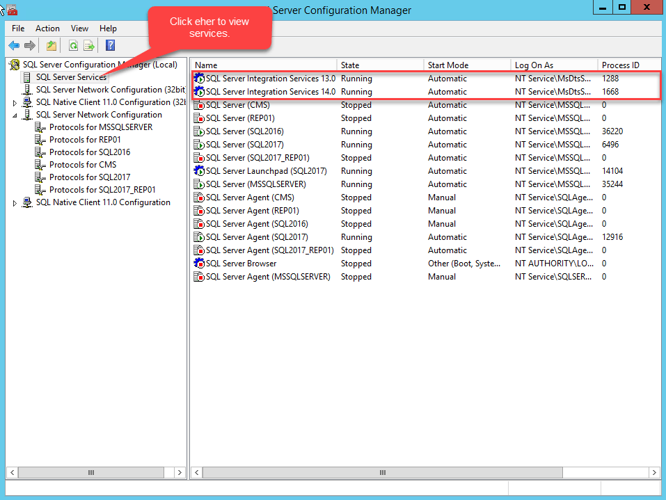Creating Database Maintenance Plans {coding}Sight