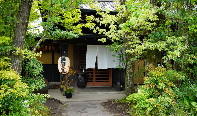 【キャンプ場に図書館がある絶景キャンプ場】ヒゴタイ公園キャンプ村[夏は河川プール、ヤマメ釣りも]